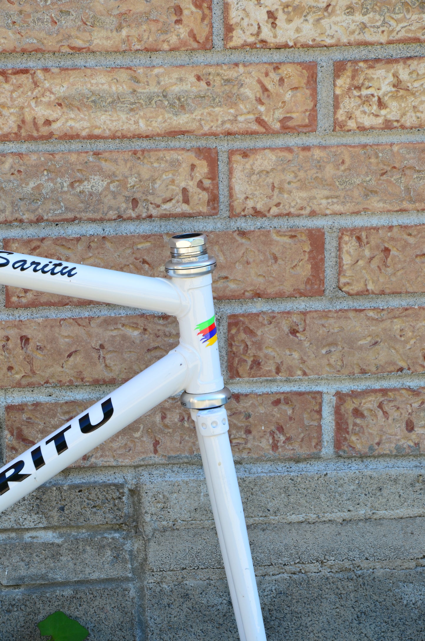 Saritu Track Frameset 57cm