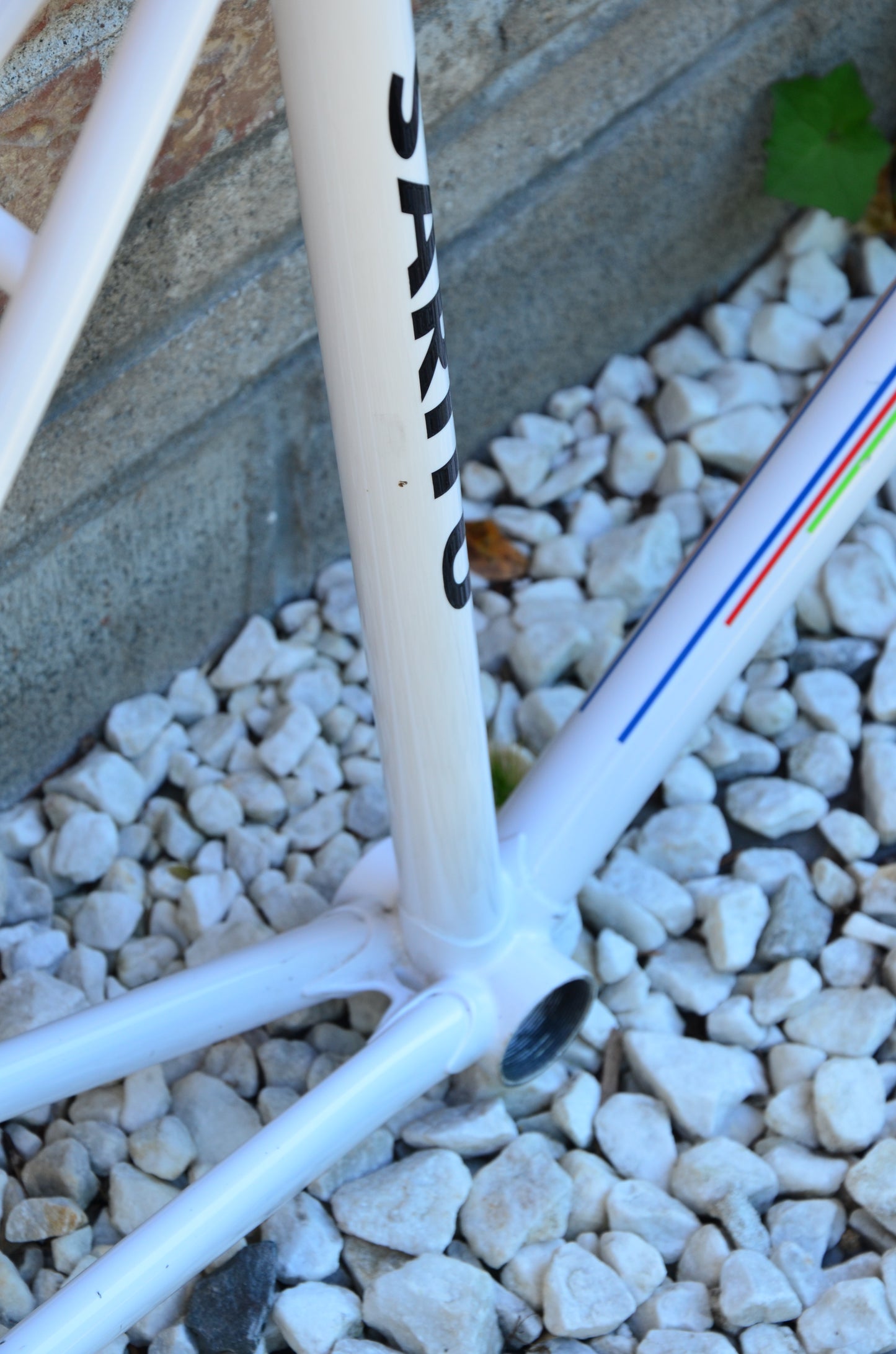 Saritu Track Frameset 57cm