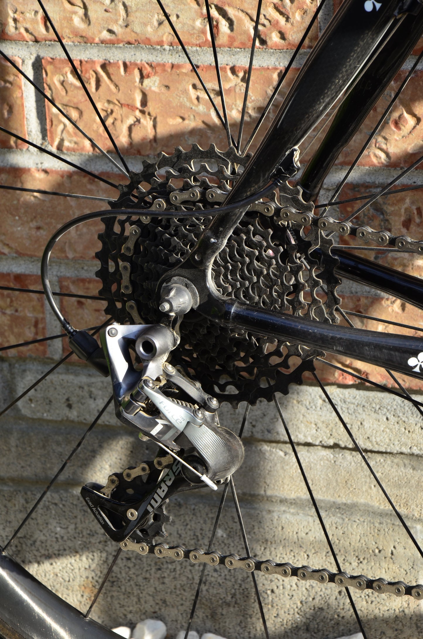 Colnago C50 CX Cyclocross Rabobank 57cm