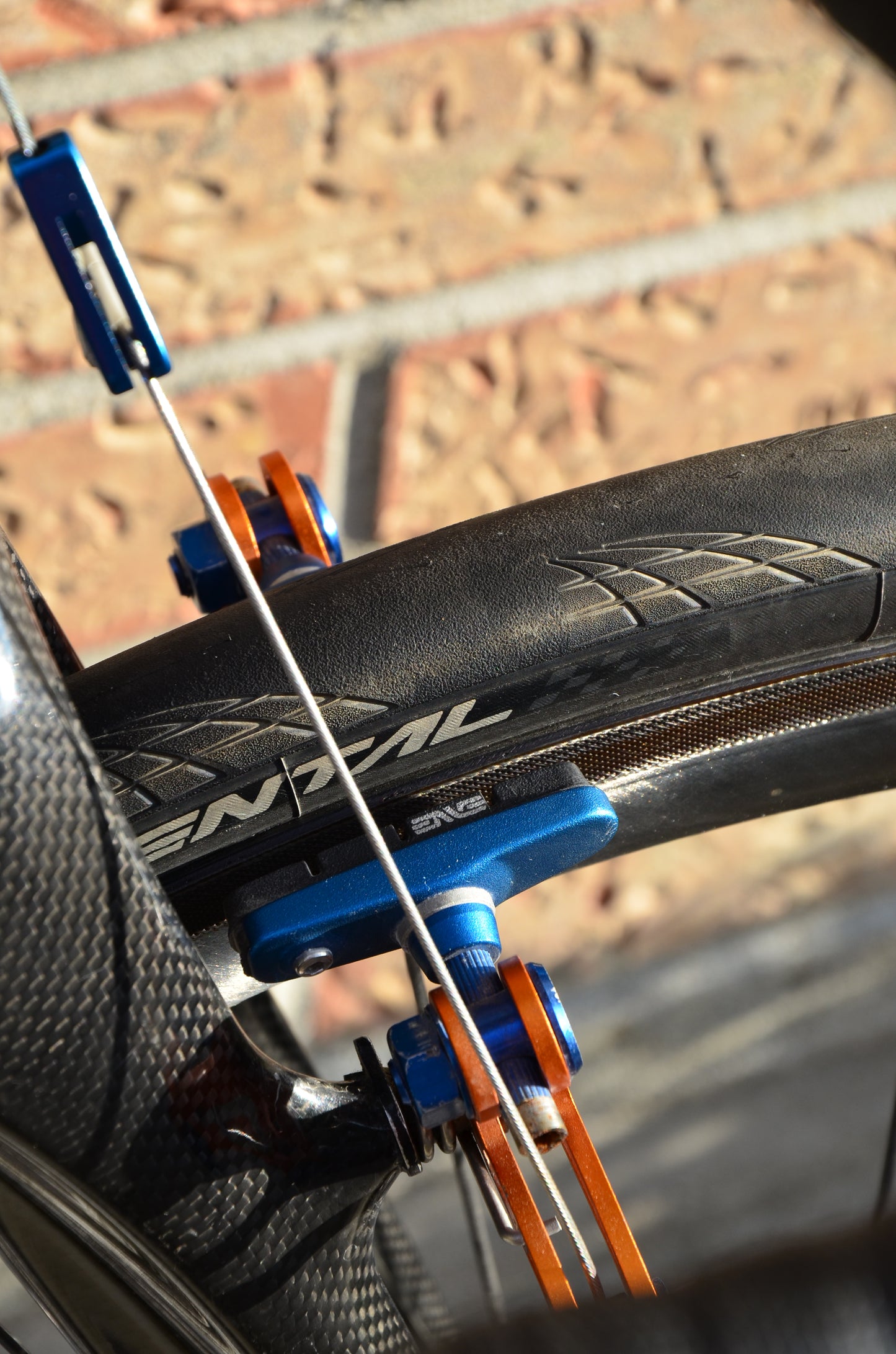 Colnago C50 CX Cyclocross Rabobank 57cm
