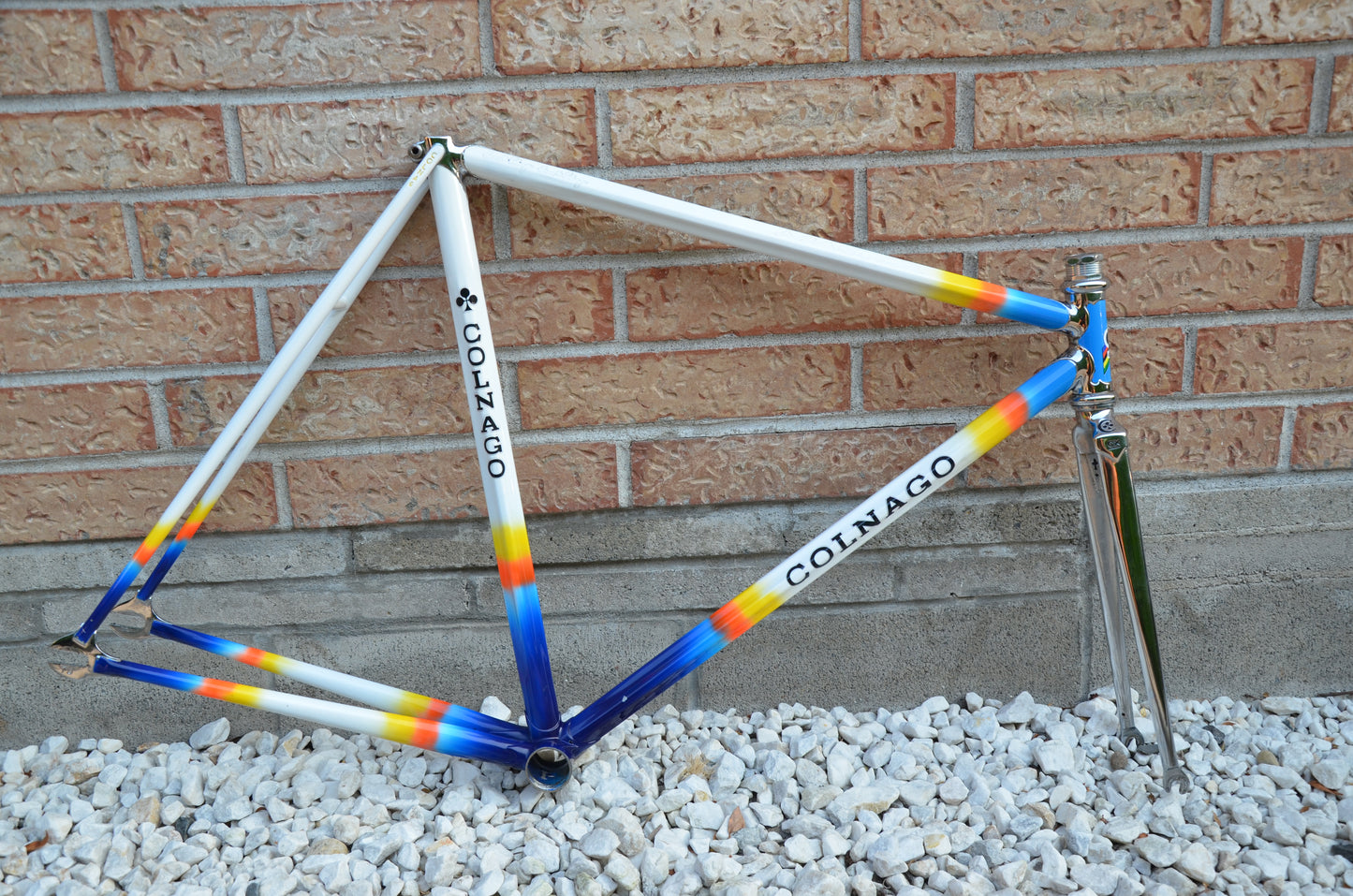 Colnago Master Lo Pro Pista Frameset 52cm Mapei Pursuit 650/700