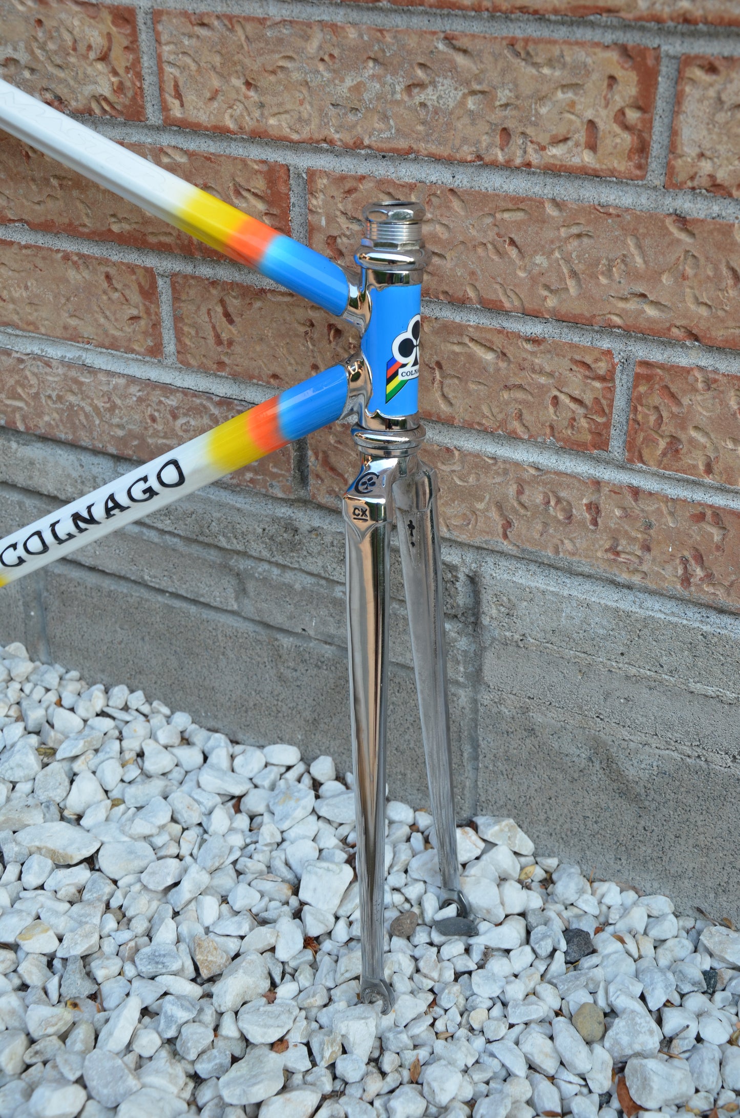 Colnago Master Lo Pro Pista Frameset 52cm Mapei Pursuit 650/700