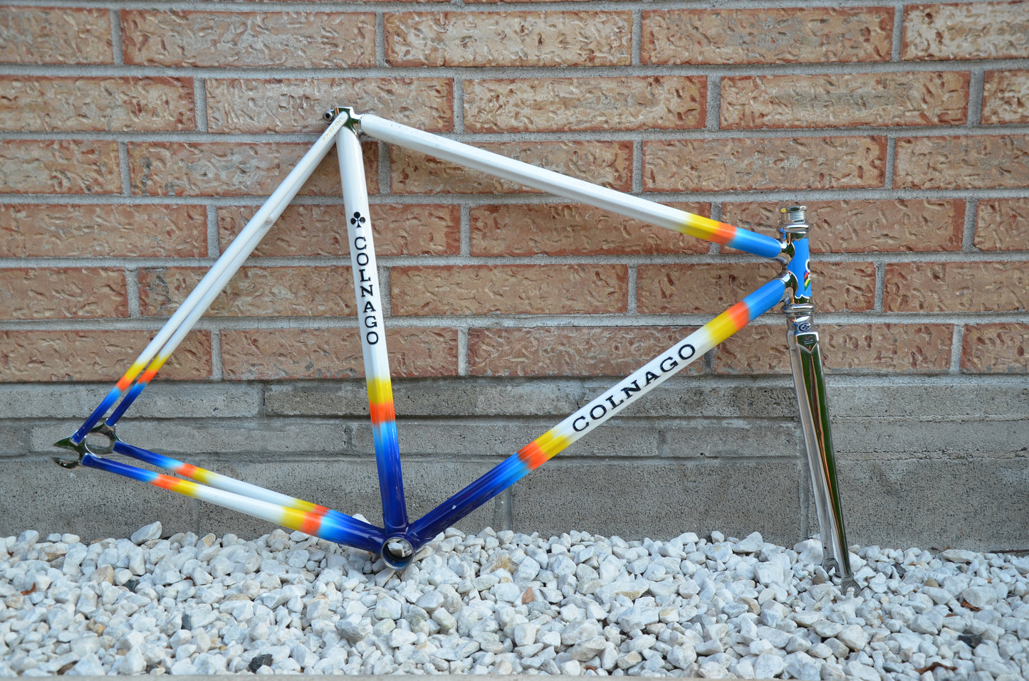 Colnago Master Lo Pro Pista Frameset 52cm Mapei Pursuit 650/700