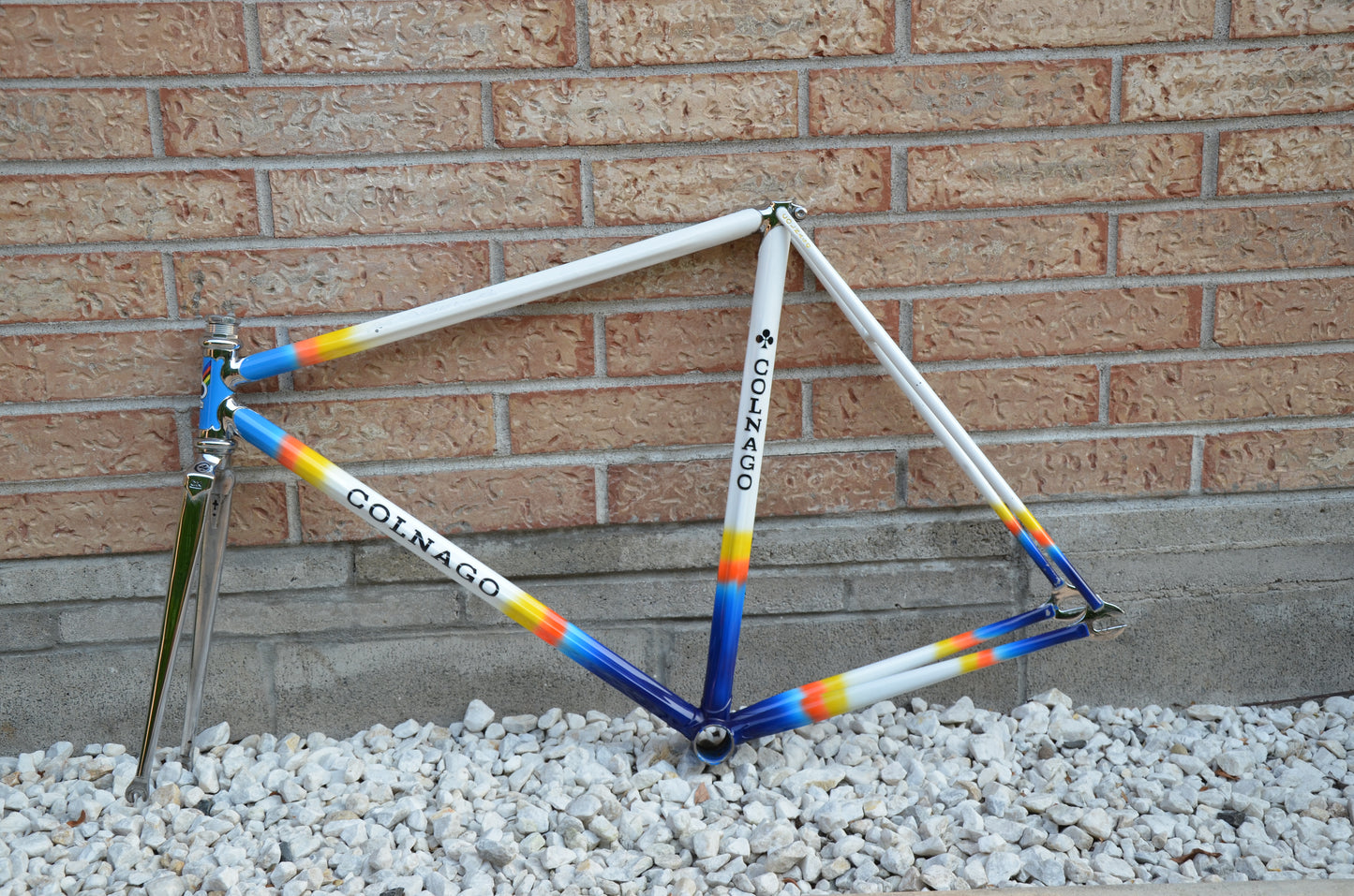 Colnago Master Lo Pro Pista Frameset 52cm Mapei Pursuit 650/700