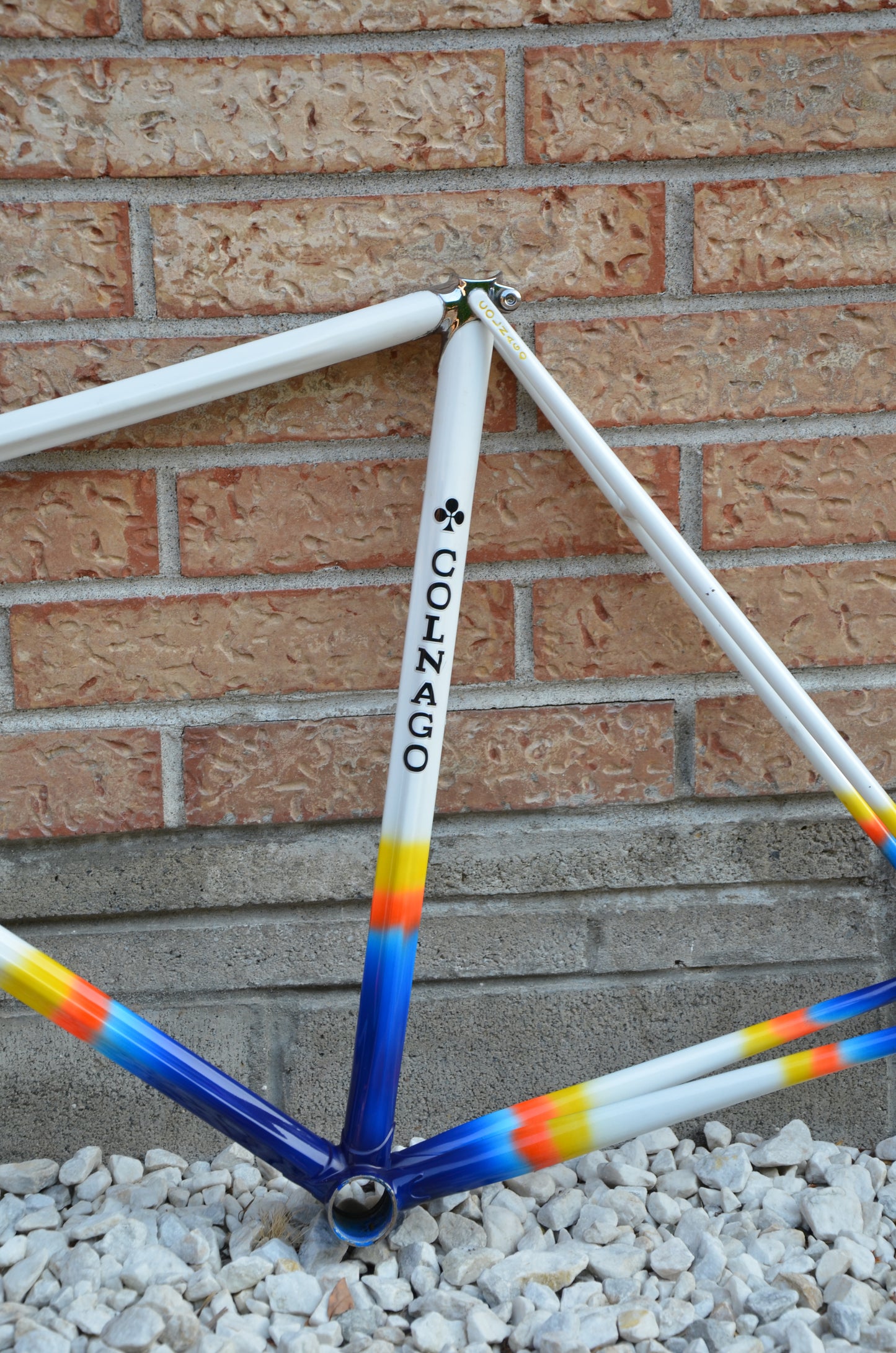 Colnago Master Lo Pro Pista Frameset 52cm Mapei Pursuit 650/700