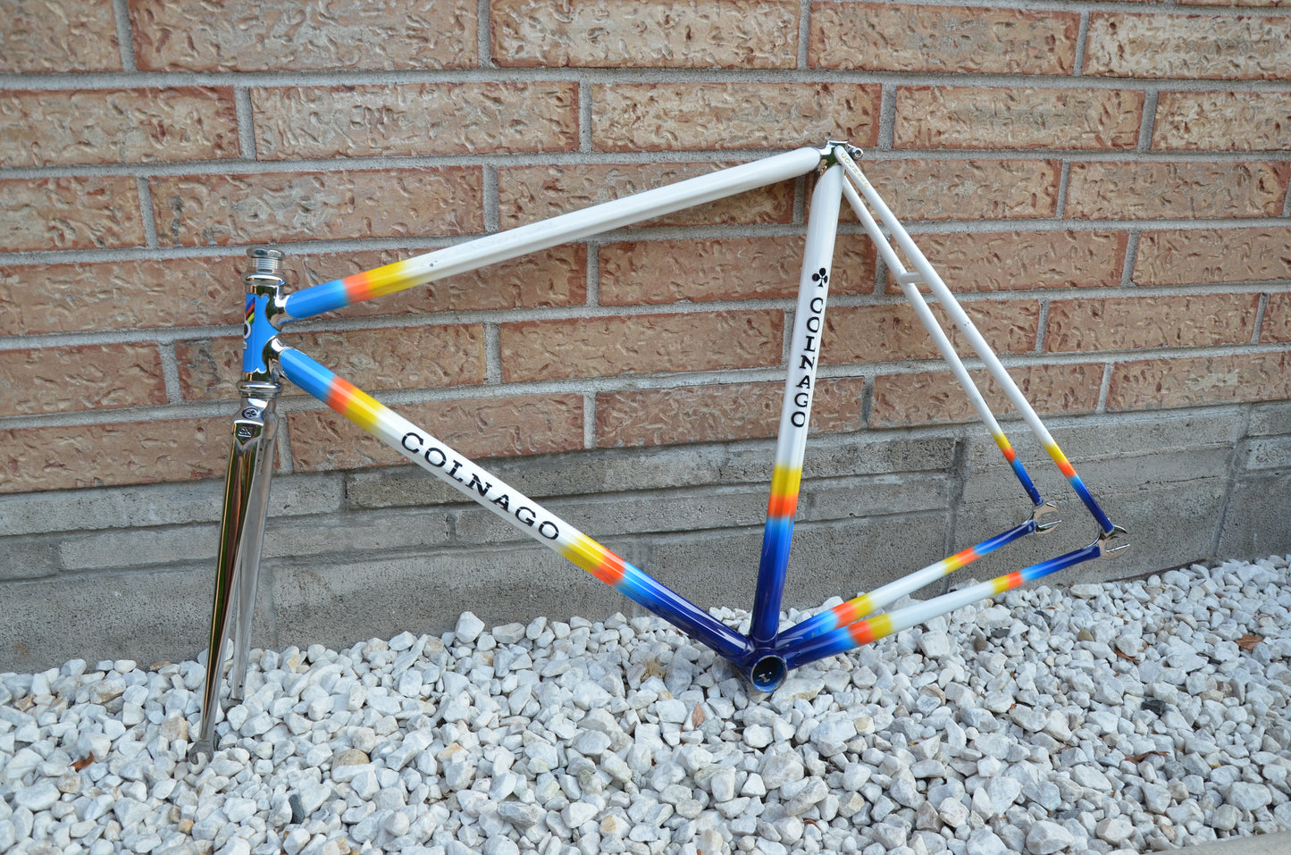 Colnago Master Lo Pro Pista Frameset 52cm Mapei Pursuit 650/700