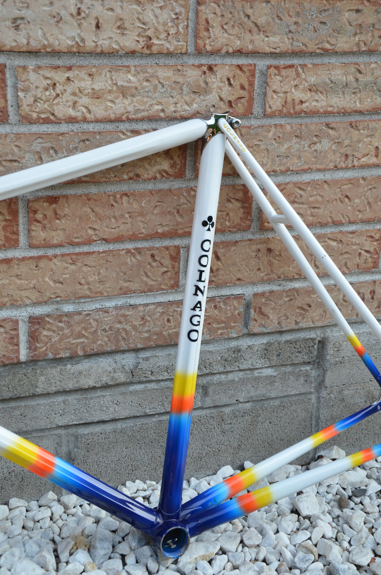 Colnago Master Lo Pro Pista Frameset 52cm Mapei Pursuit 650/700
