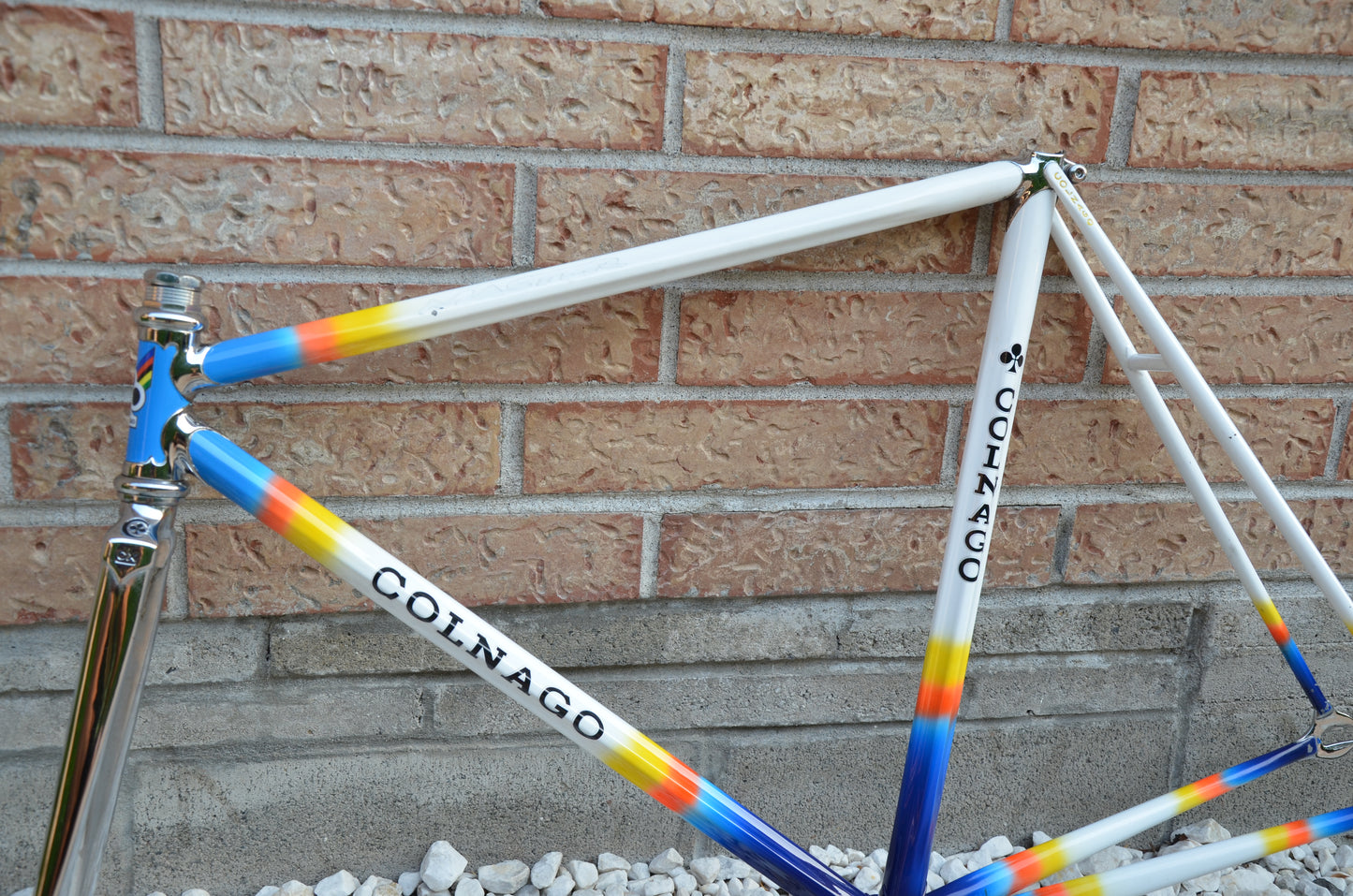 Colnago Master Lo Pro Pista Frameset 52cm Mapei Pursuit 650/700