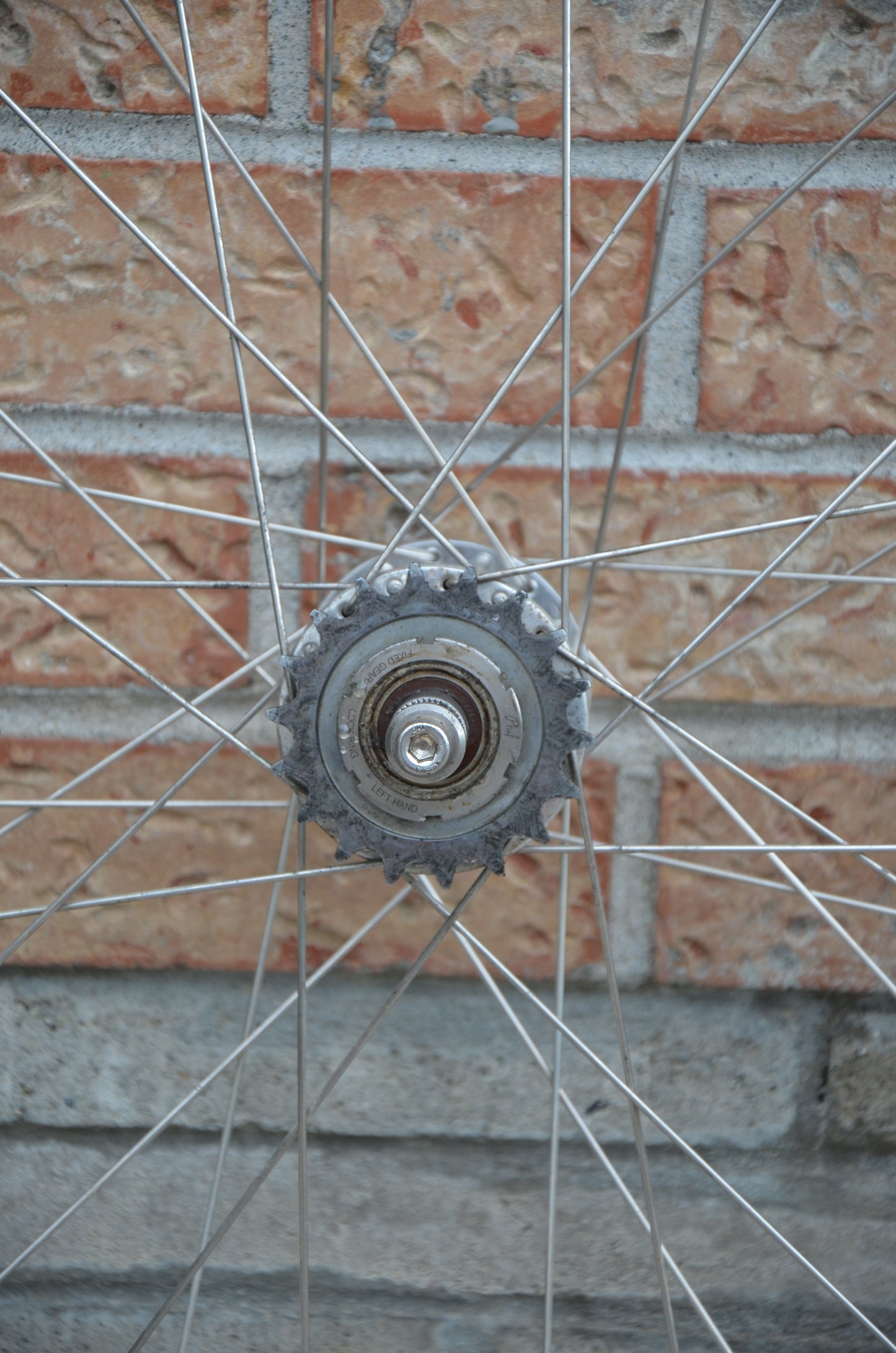 H+Son SL42 Phil Wood HF 32/32H Track Wheelset 700c