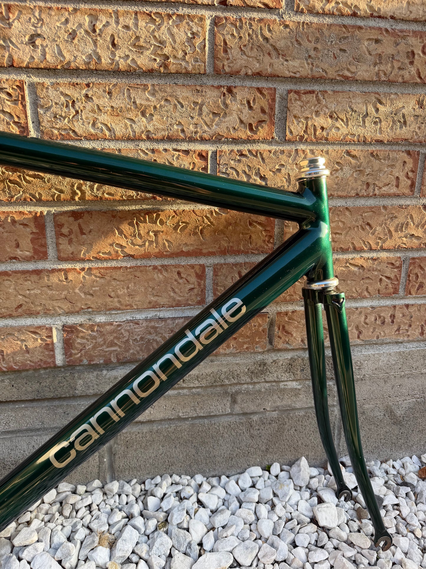 Cannondale Track Frameset 52cm Icelandic Green